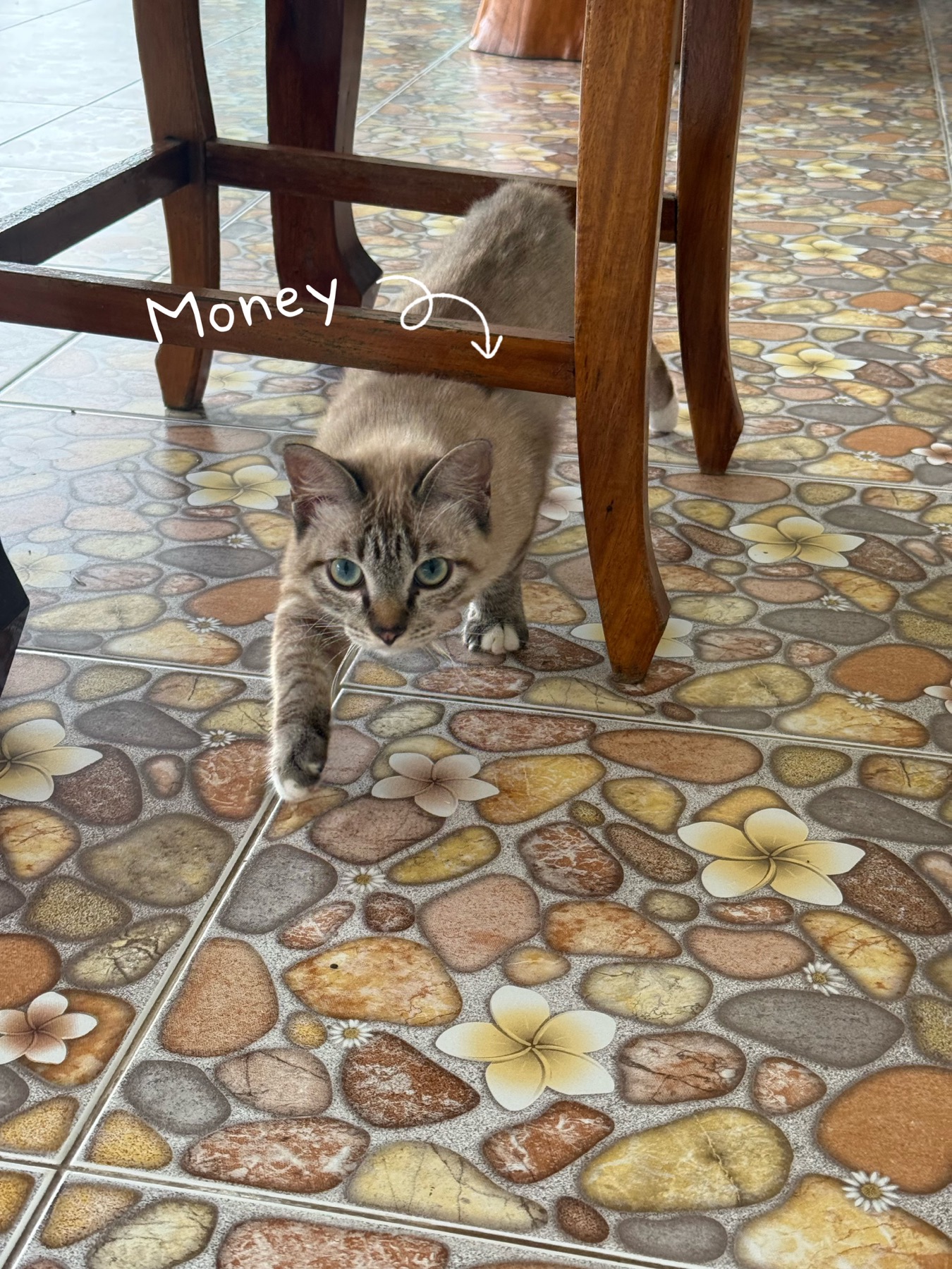 Money