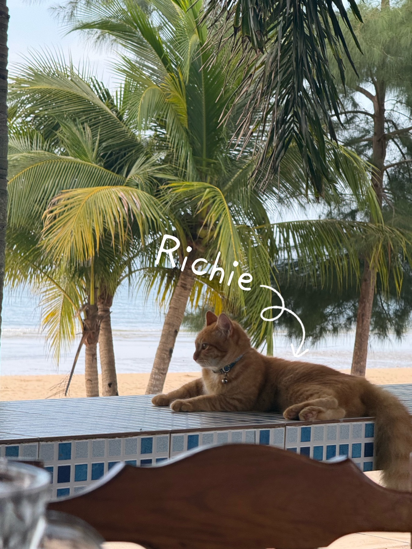 Richie